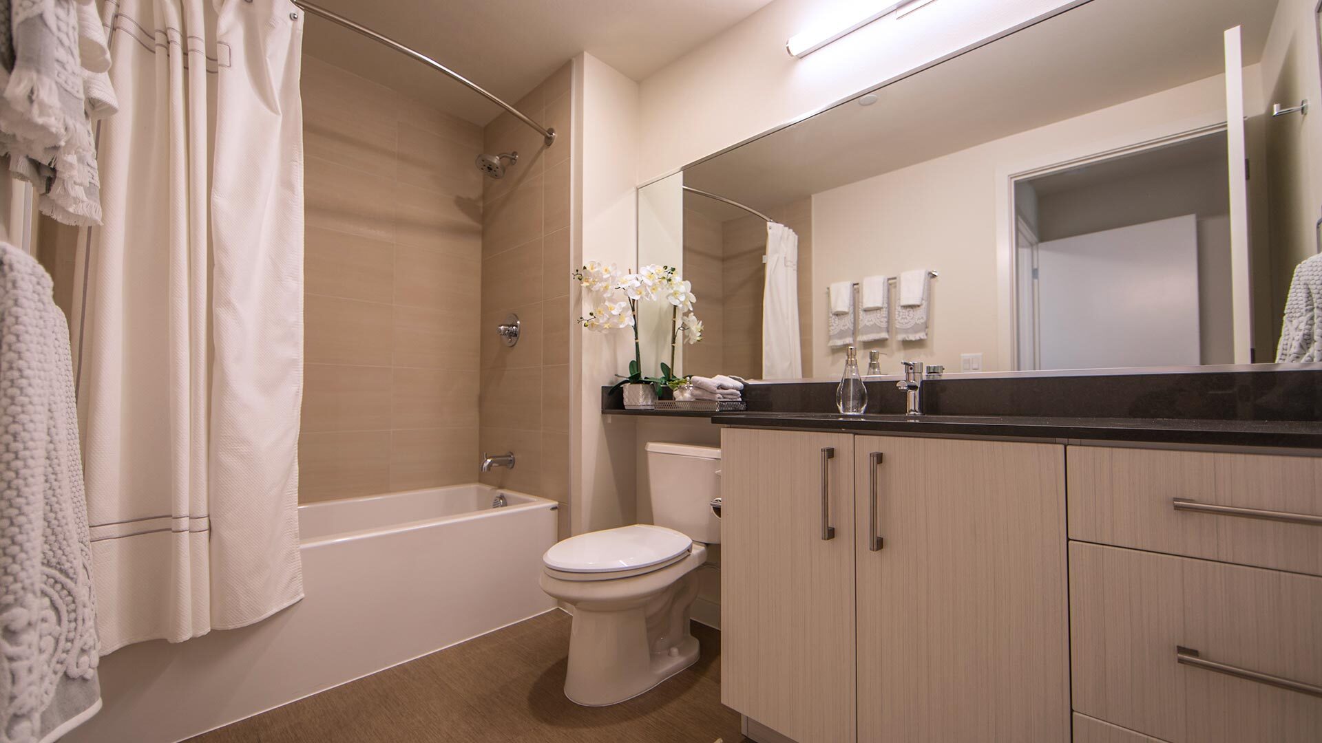 Bellevue 3 1 bathroom view 1