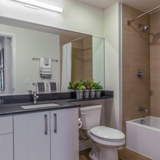 The Margot Unit Bath View 2