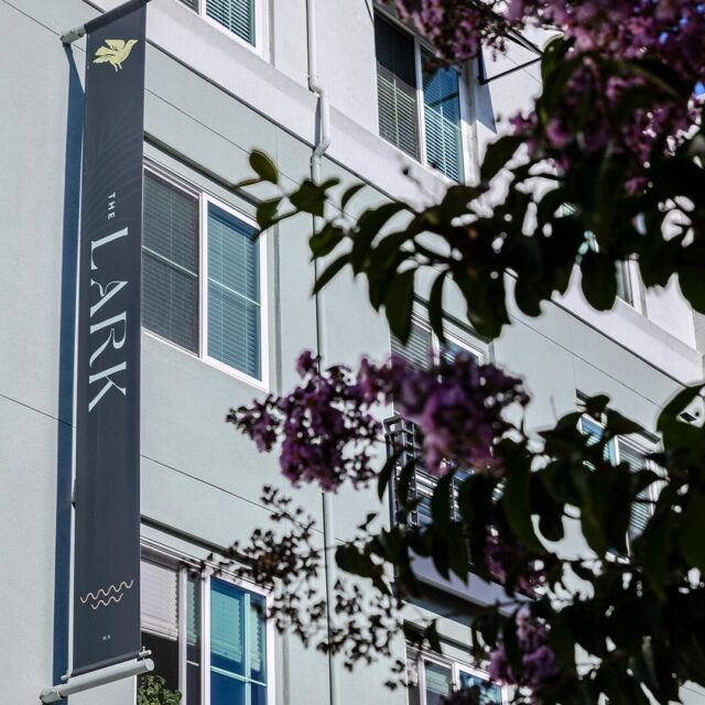 The lark san mateo sign 2