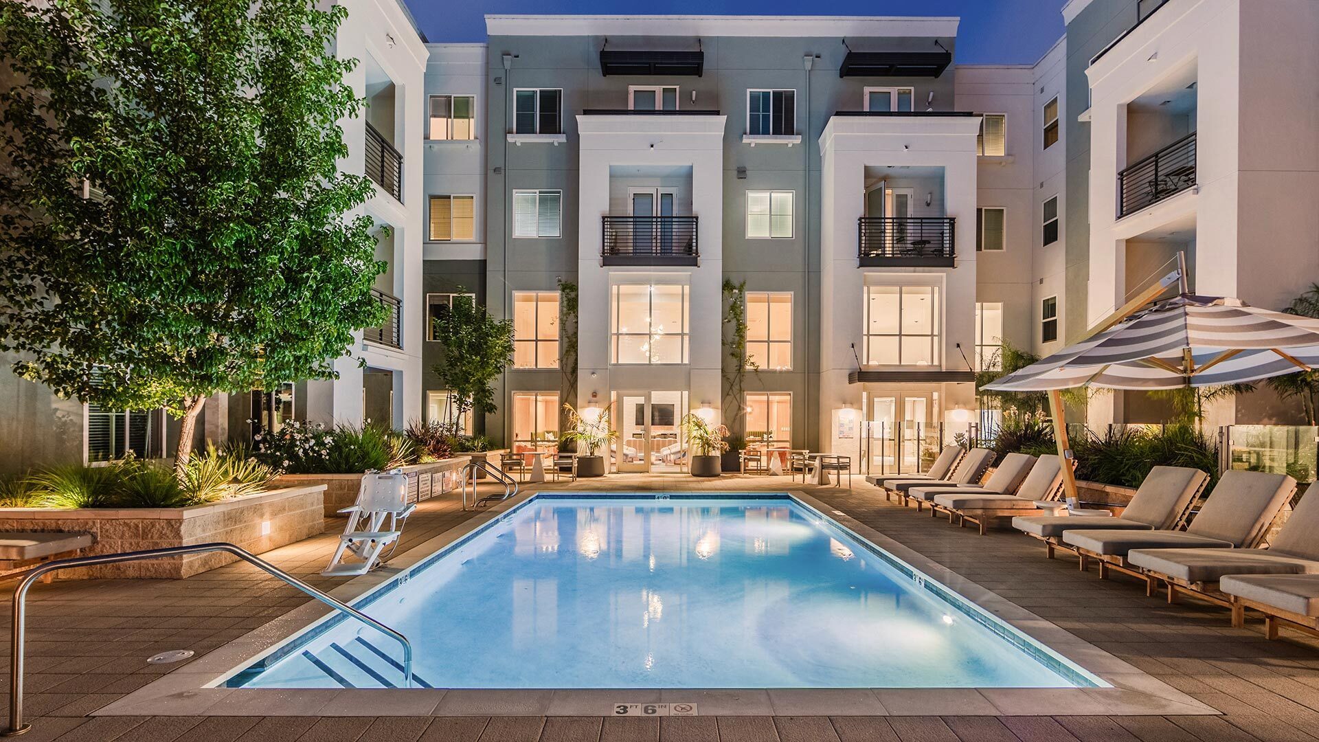 The lark san mateo evening pool 1