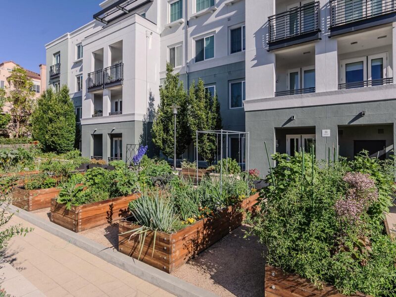 The lark san mateo garden 3