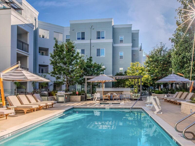 The lark san mateo pool 3