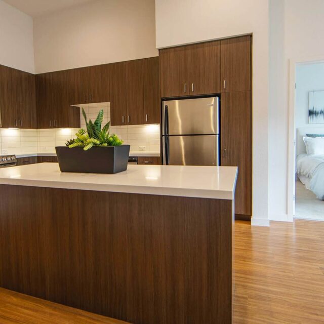 Aperture C1 model unit kitchen view 2