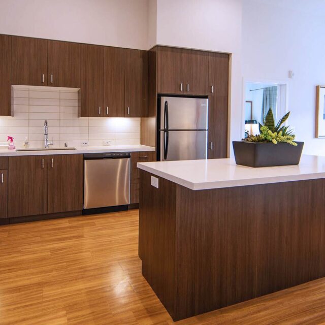 Aperture C1 model unit kitchen view 3