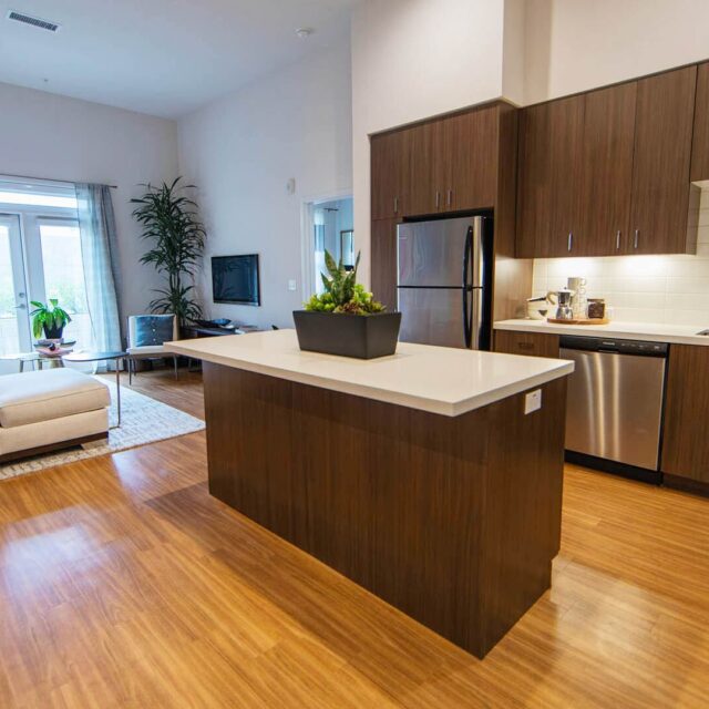 Aperture C1 model unit kitchen view 5