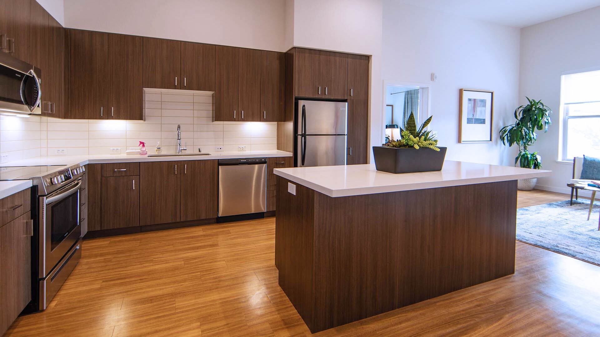 Aperture C1 model unit kitchen view 1