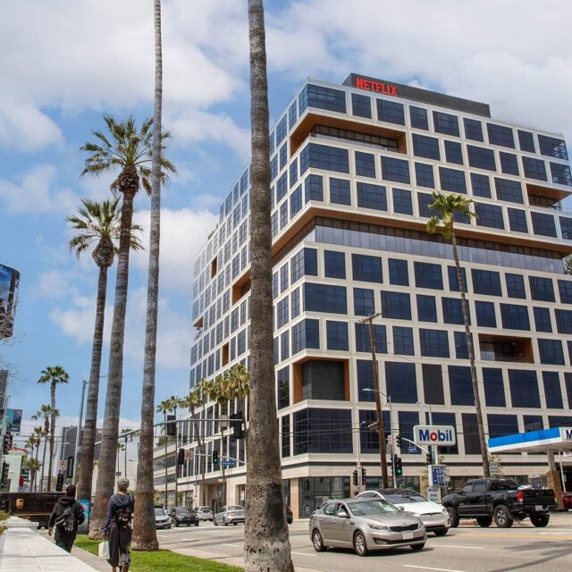 Ardence neighborhood netflix