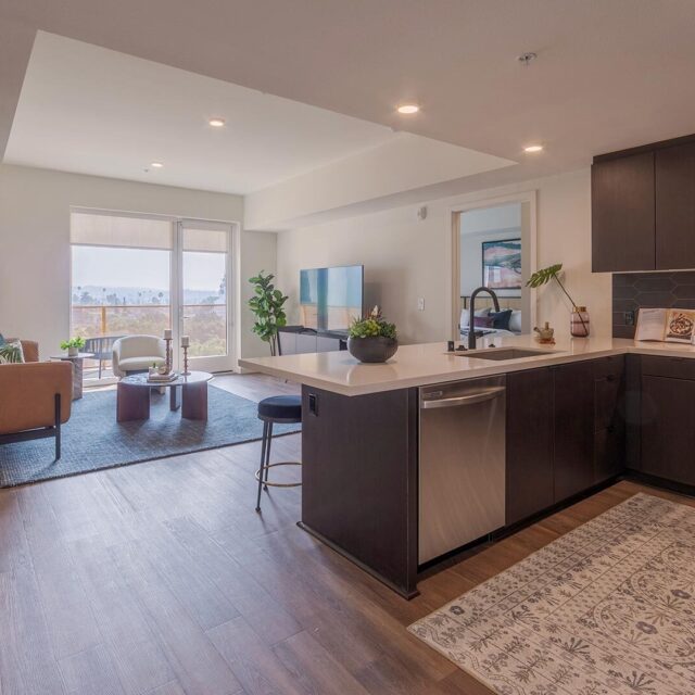 Ardence B11m kitchen view 1