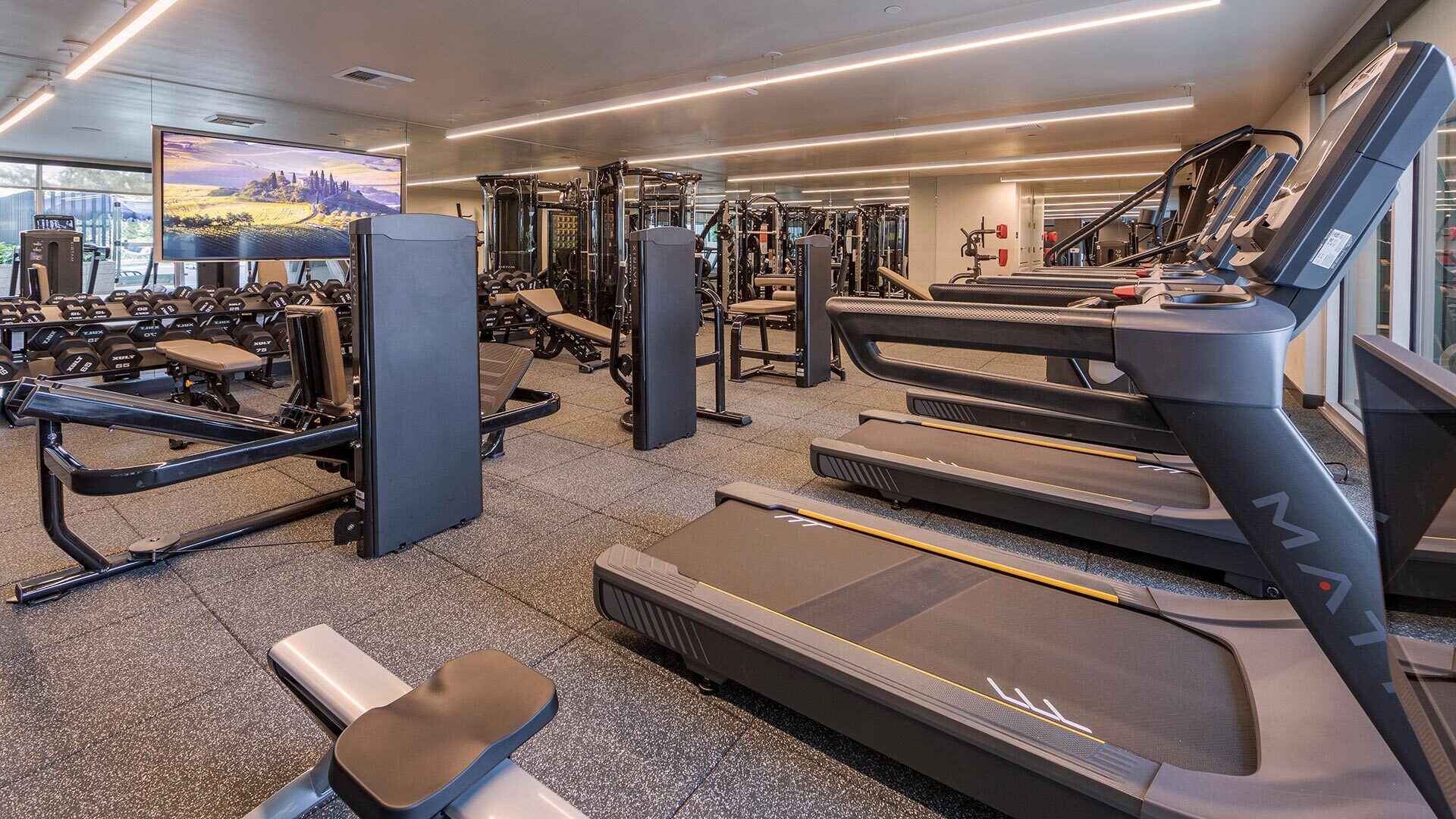 Ardence fitness view 4