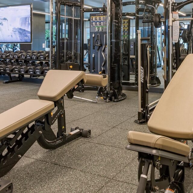 Ardence fitness view 2