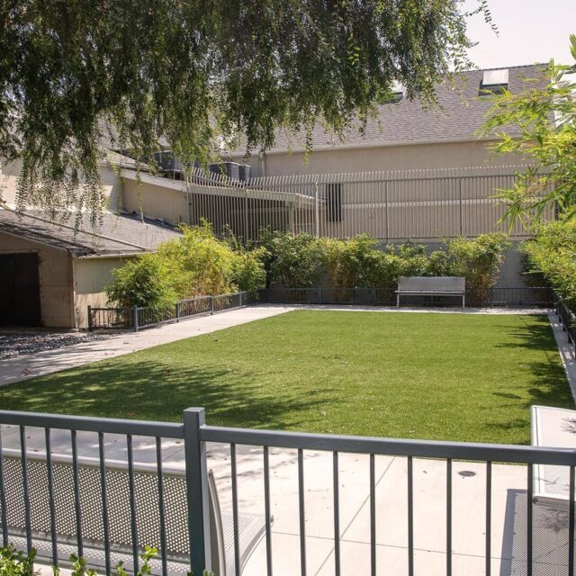 Ardence pet friendly view 2