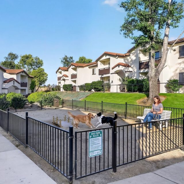 Barham dog park model2