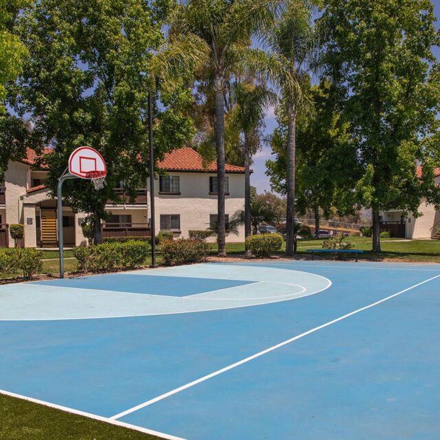 Barham villas basketball court 3