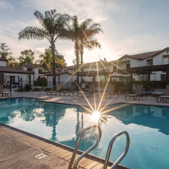 Barham villas pool 4