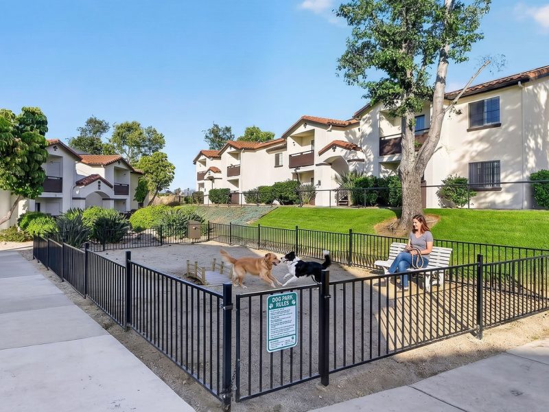 Barham dog park model2