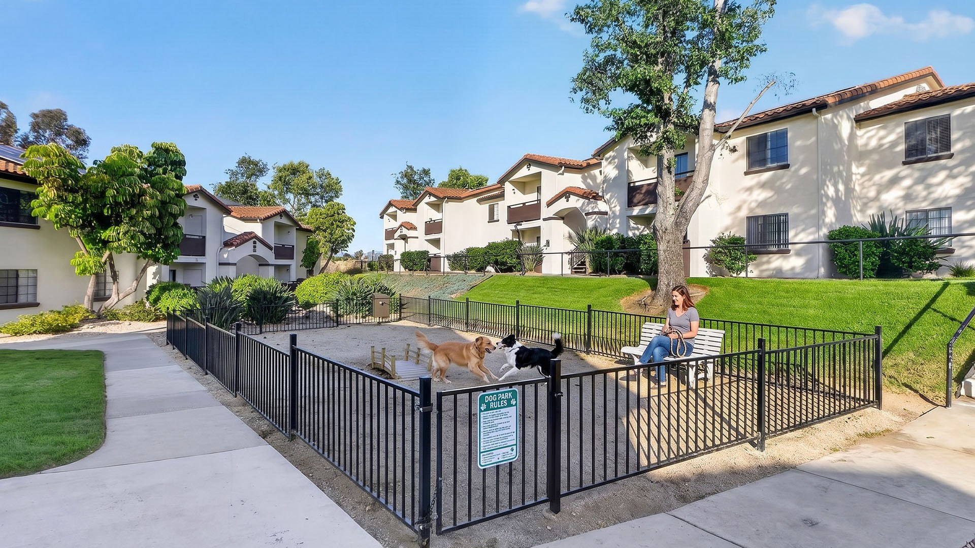 Barham dog park model2