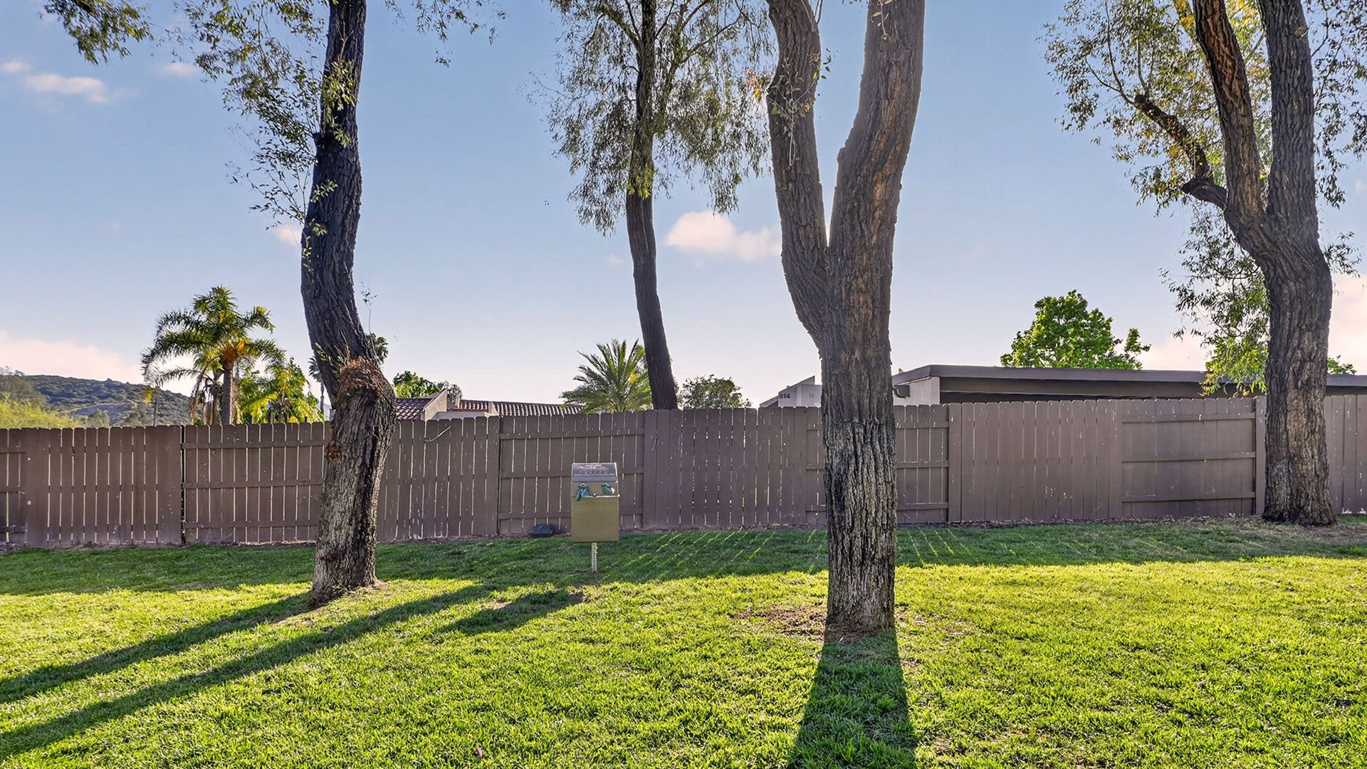 Barham san marcos grass