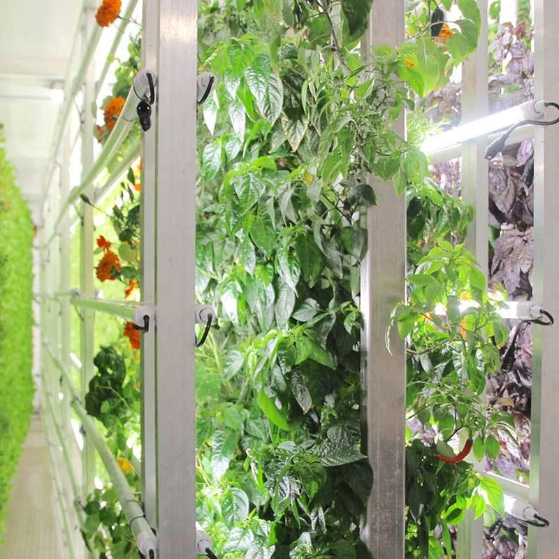 NC Vertical Hydroponic Farm Thumb