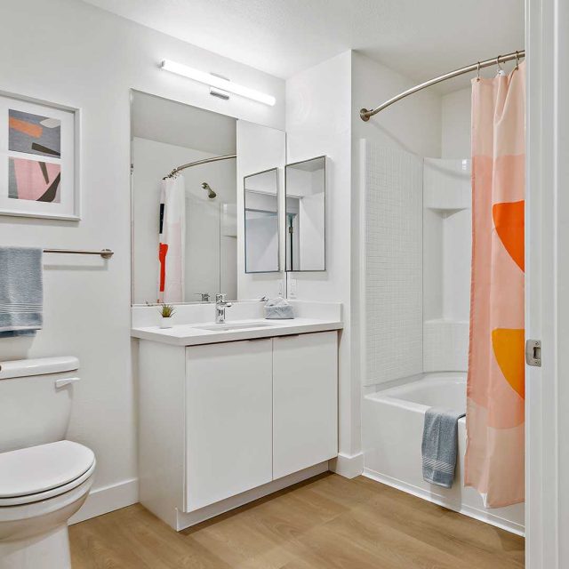 Blake apartments B6 bath view