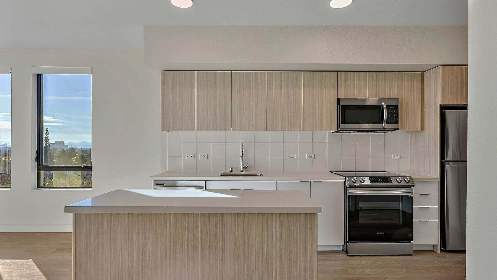 Blake apartments b5 floorplan kitchen island view 1