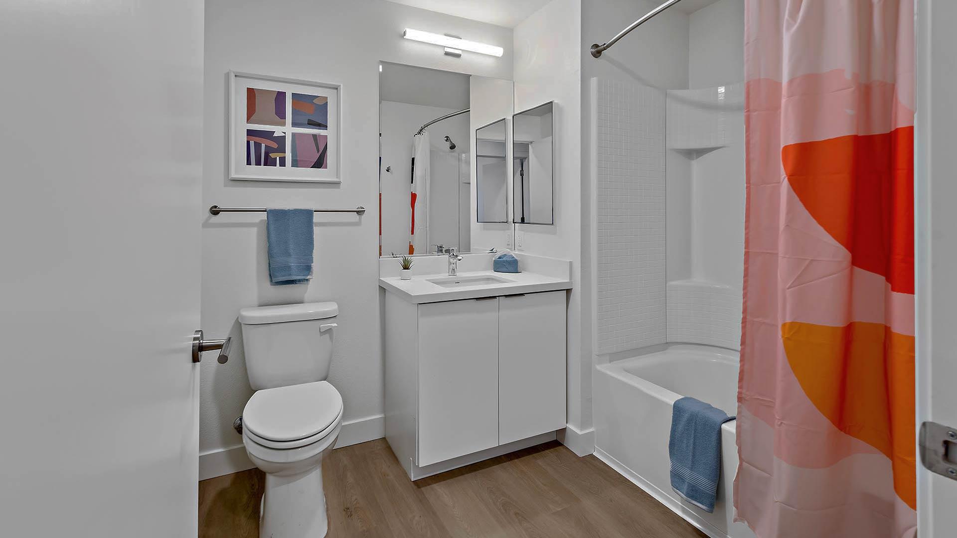 Blake apartments b6 floorplan model bathroom view 2