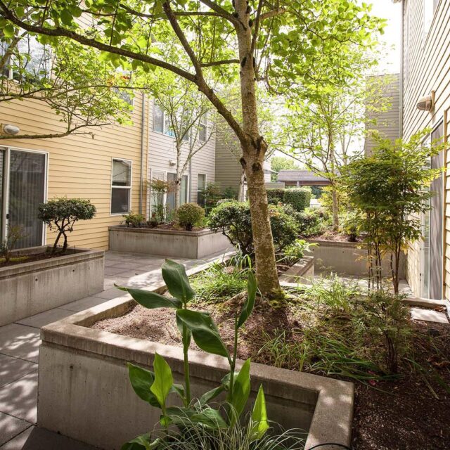 Broadway courtyard sunshine