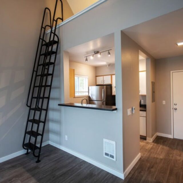 Schnitzer - Studio - 558 sq ft