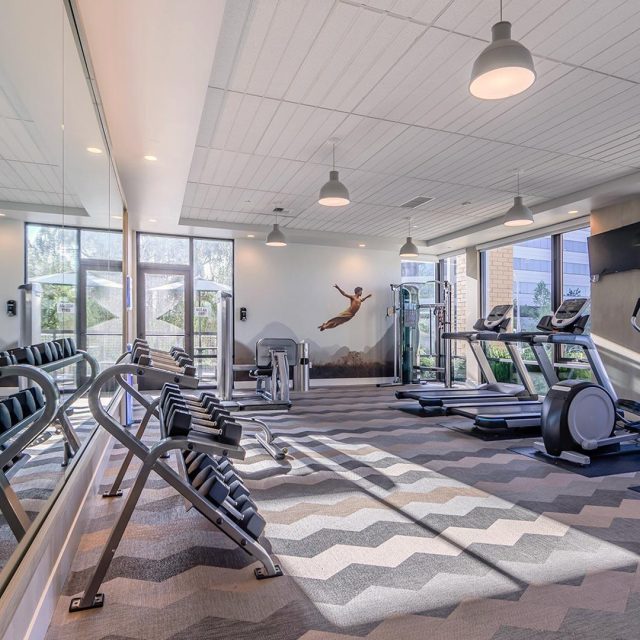 Stokely bellevue bellevue gym view3