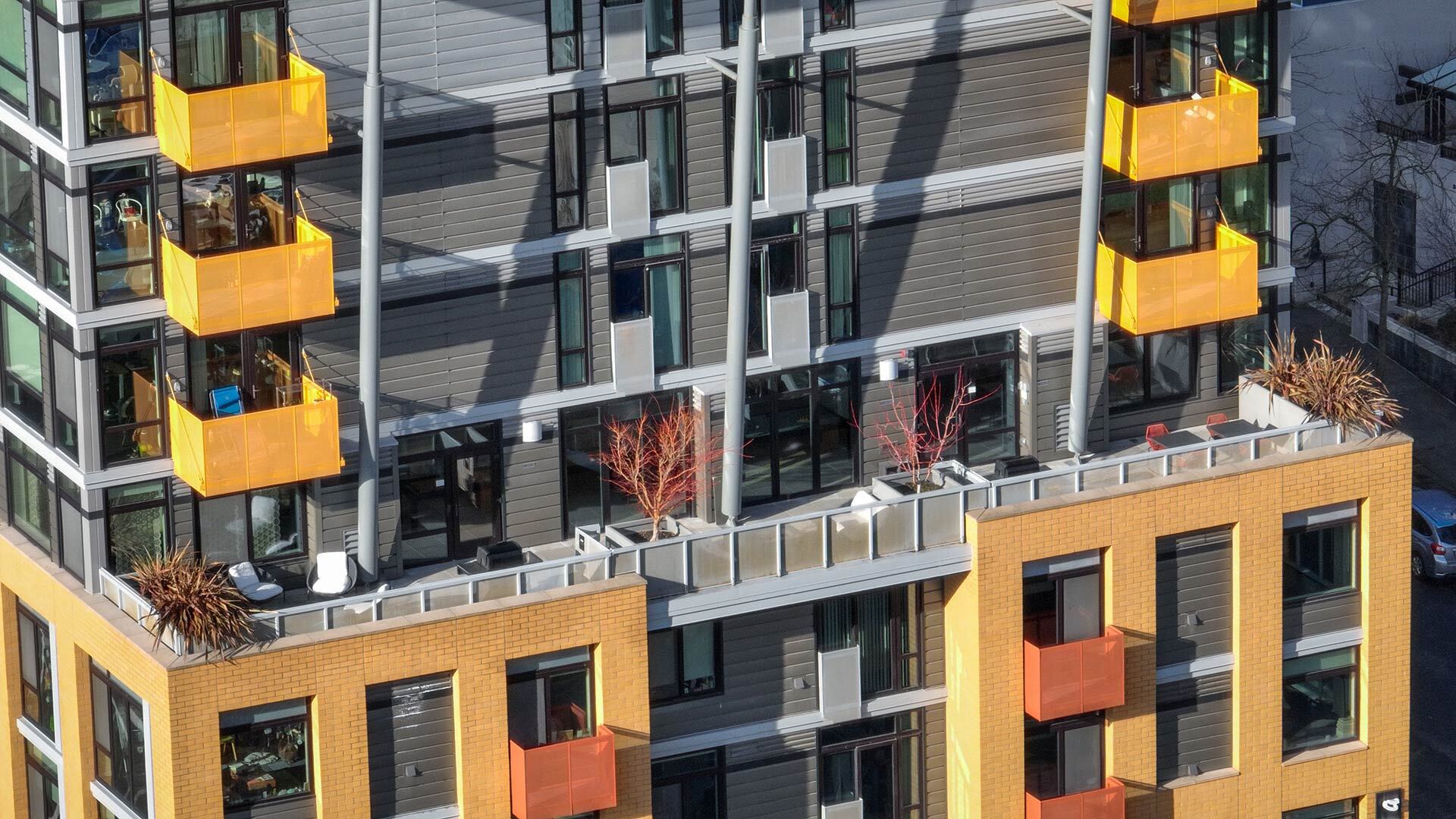 Gallery Live Stokely