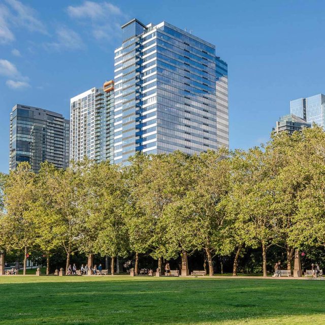 Stokely bellevue bellevue local view1