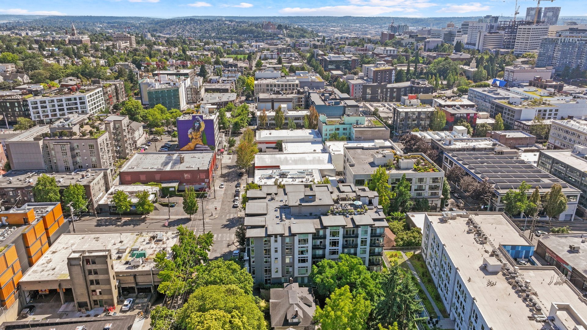Collins on Pine Aerial Skyline View 01