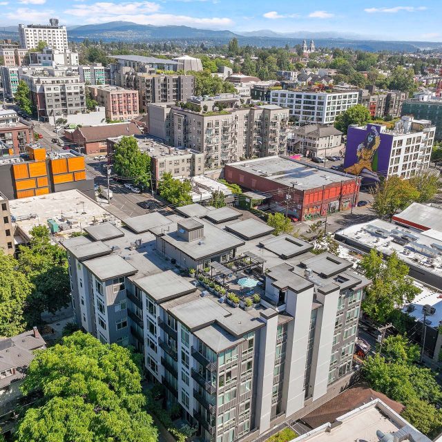 Collins on pine aerial view2