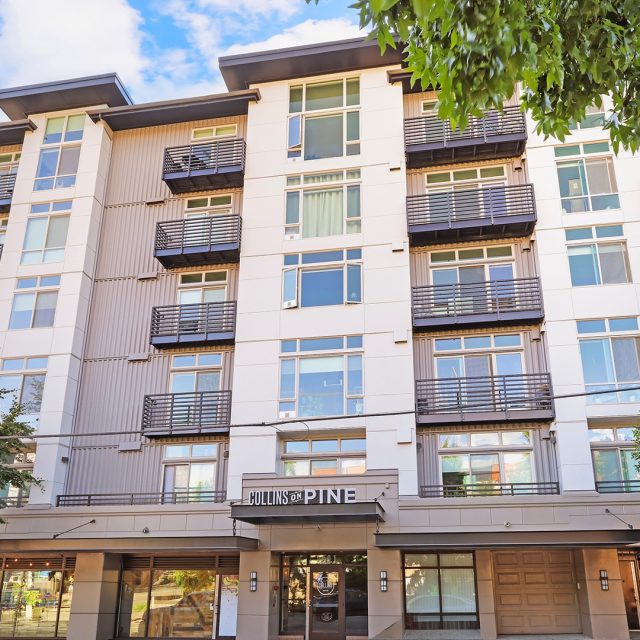 Collins on pine exterior view4