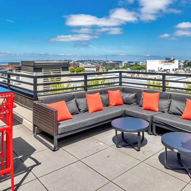 Collins on pine rooftop lounge