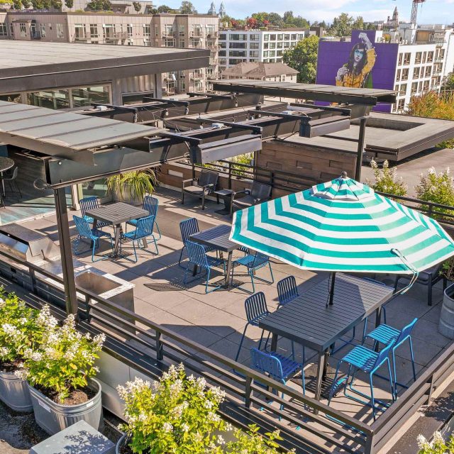 Collins on pine rooftop view1
