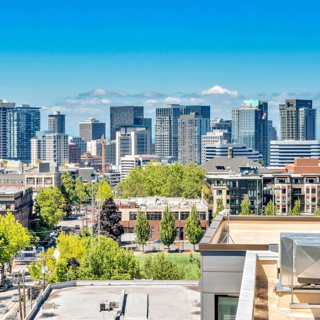 Collins and Pine Balcony Skyline View