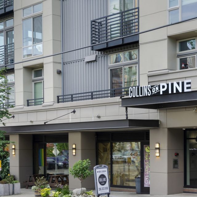 Collins on Pine Exterior Building Mountain Skyline 01