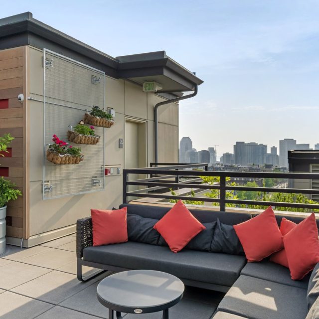 Collins on Pine Rooftop Lounge Sectional City View 20