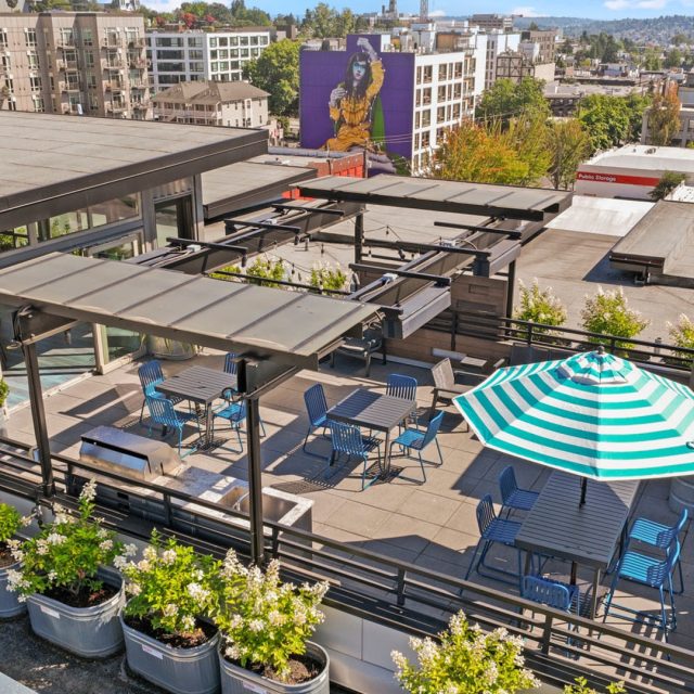 Collins on Pine Rooftop Terrace Mural View 09