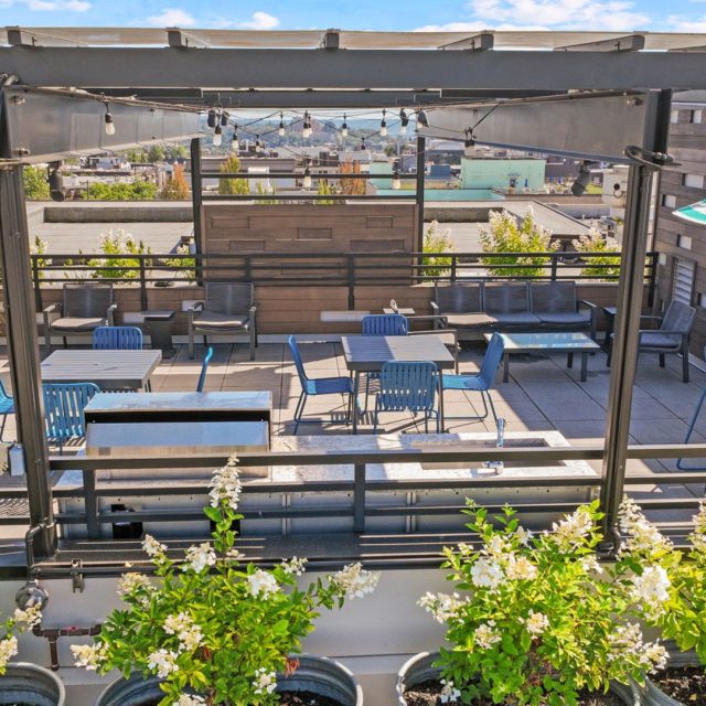 Collins on Pine Rooftop Terrace String Lights 11