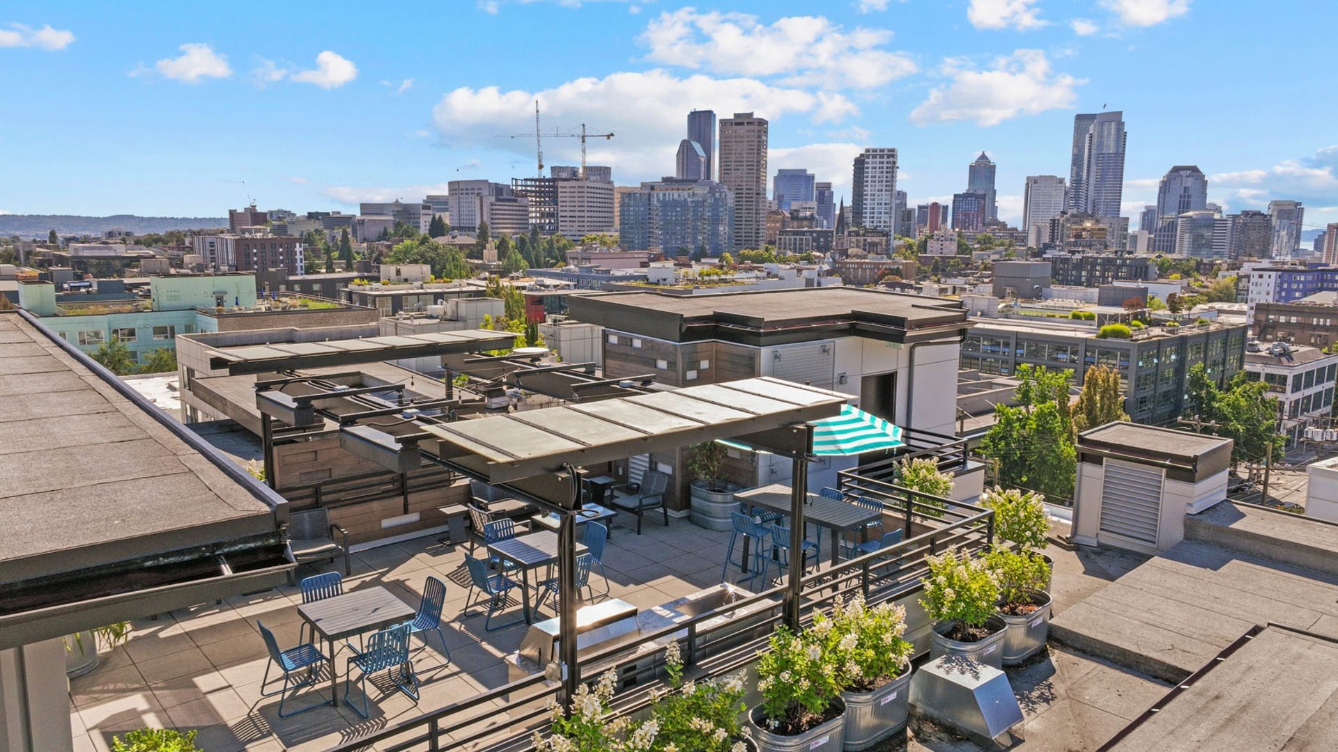 Collins on Pine Rooftop Terrace Seating Skyline 08