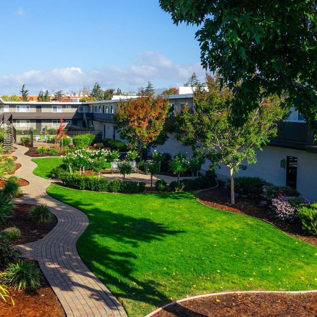 Garden court courtyard winding path