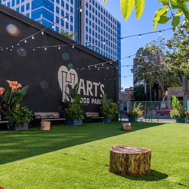 The james neighborhood harts dog park