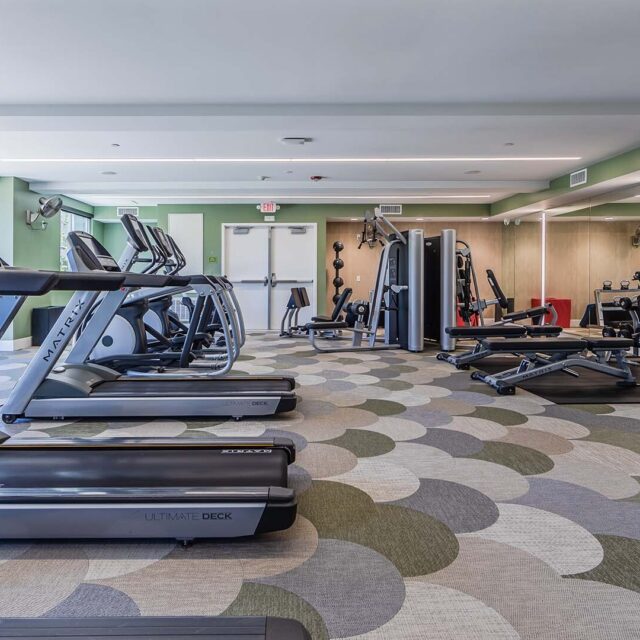 The lark san mateo fitness 2