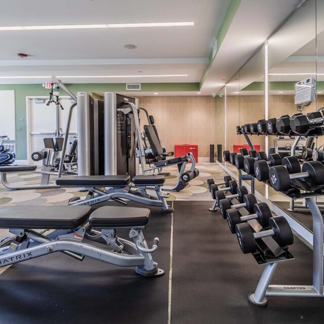 The lark san mateo fitness 3
