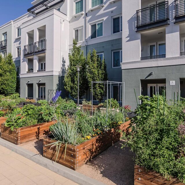 The lark san mateo garden 3