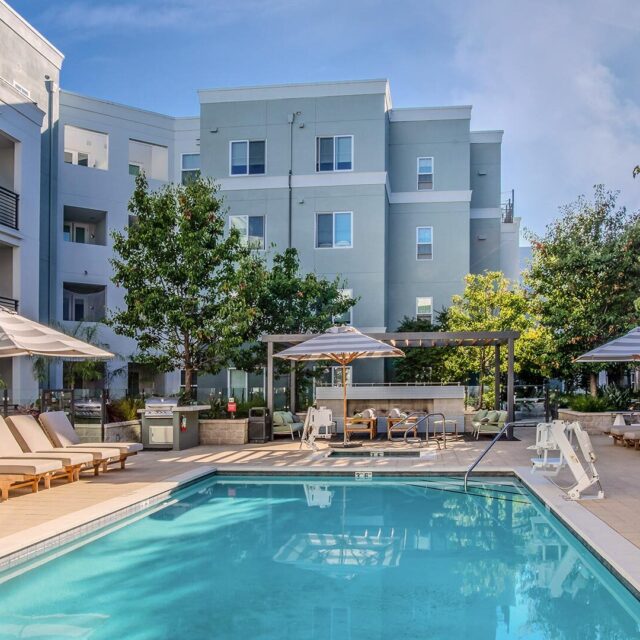 The lark san mateo pool 3