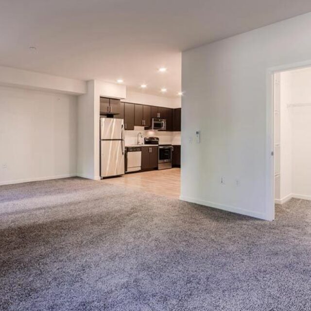 Willow - Studio - 603 sq ft