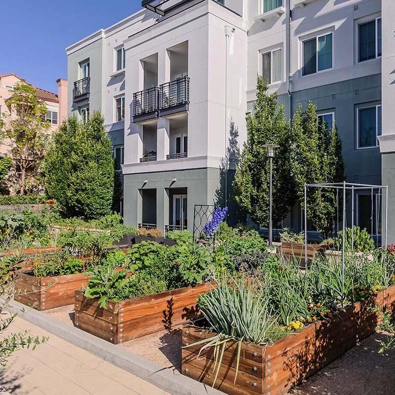 The lark san mateo garden thumb