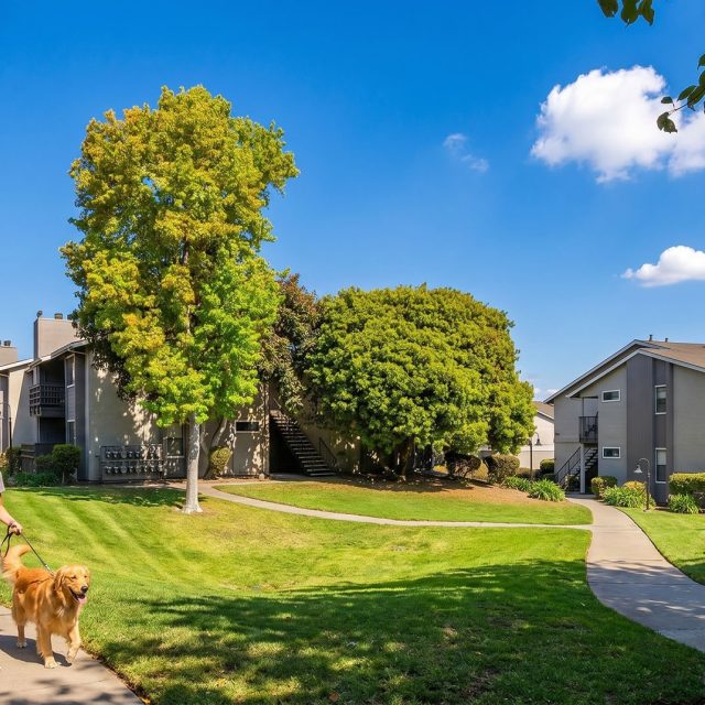 Laurel grove grounds